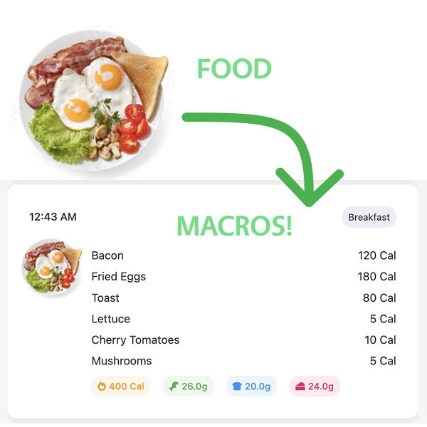 Food to Macros Breakdown